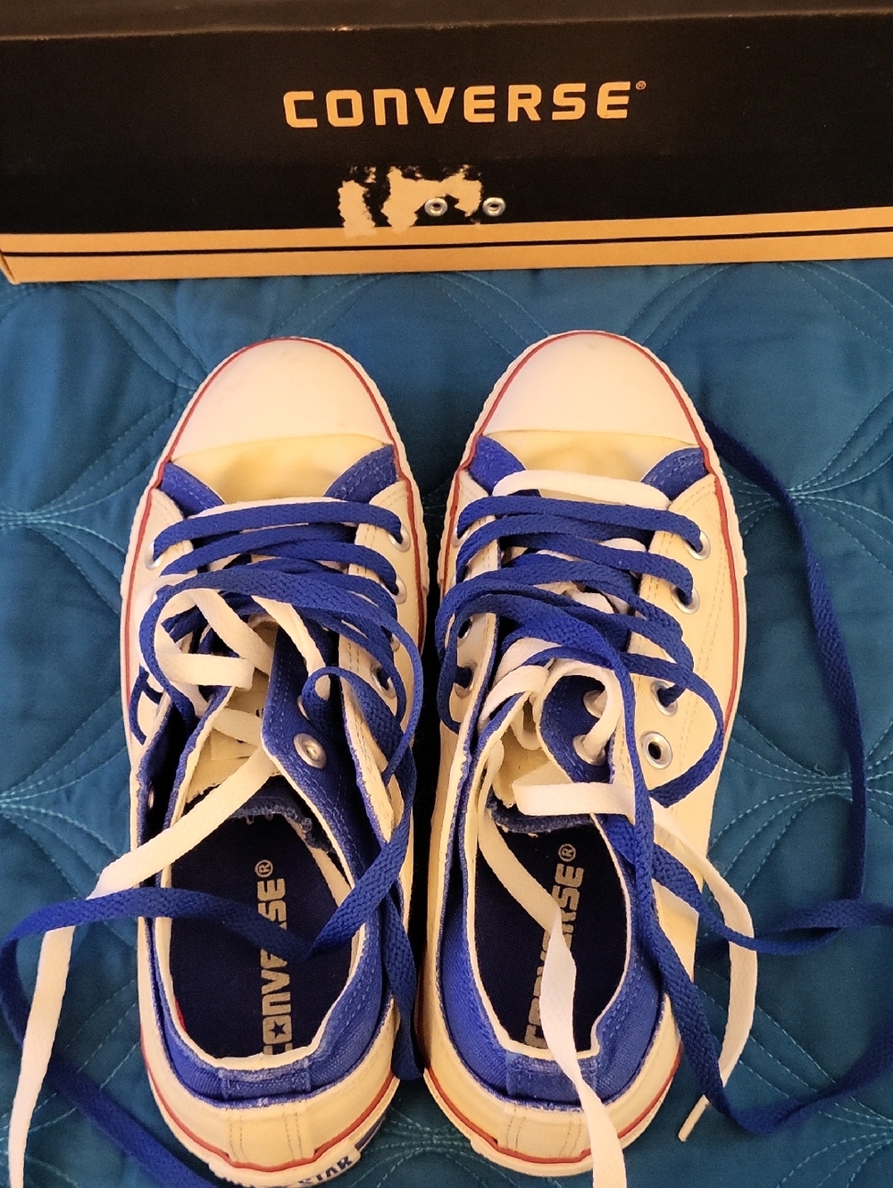 Converse Shoe N Shoe Low Top Sneakers in White and Blue